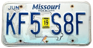 ROAD KILL - Missouri 2019