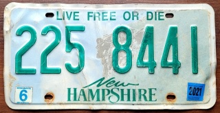 ROAD KILL - New Hampshire 2021