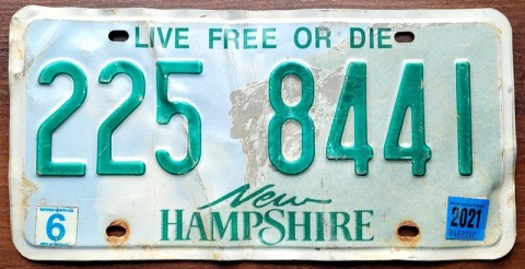 ROAD KILL - New Hampshire 2021