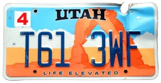 ROAD KILL - Utah
