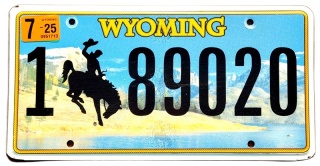 Wyoming 2025 - tablica z USA