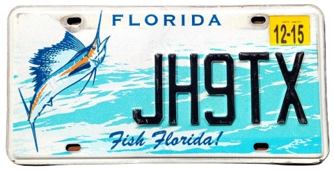 Florida 2015 - tablica z USA