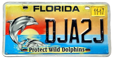 Florida 2017 - tablica z USA