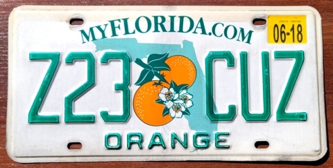 Florida 2018 - tablica z USA