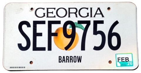 Georgia 2026 - tablica z USA