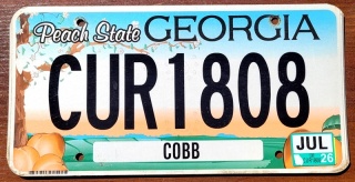 Georgia 2026 - tablica z USA