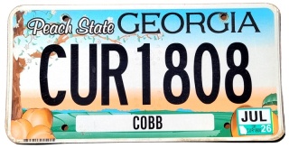 Georgia 2026 - tablica z USA