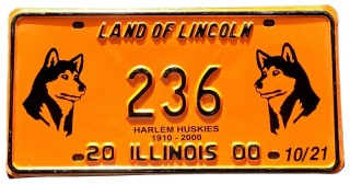 Illinois 2000 - tablica z USA