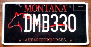 Montana - tablica z USA