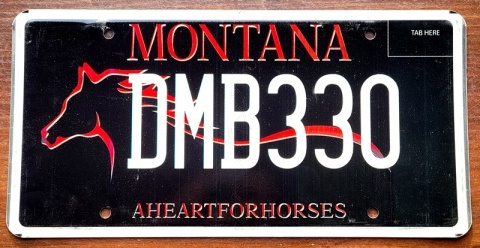 Montana - tablica z USA