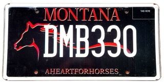 Montana - tablica z USA