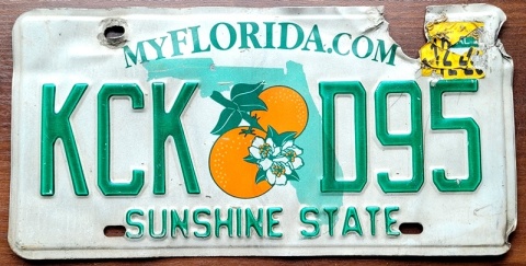 ROAD KILL - Florida - tablica z USA