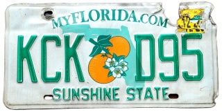 ROAD KILL - Florida - tablica z USA