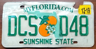 ROAD KILL - Florida - tablica z USA