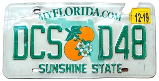 ROAD KILL - Florida - tablica z USA