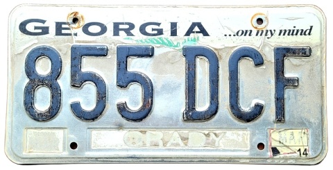 ROAD KILL - Georgia 2014 - tablica z USA