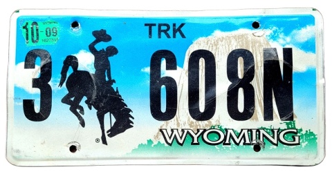 ROAD KILL - Wyoming 2009 - tablica z USA