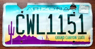 ROAD KILL - Arizona - tablica z USA