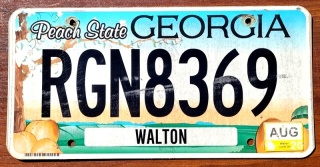 Georgia 2020 - tablica z USA