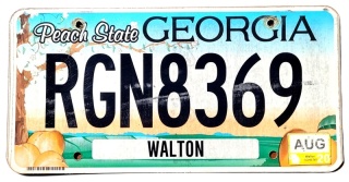 Georgia 2020 - tablica z USA