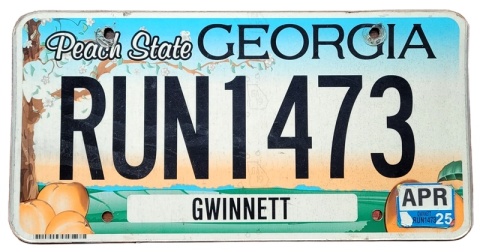 Georgia 2025 - tablica z USA