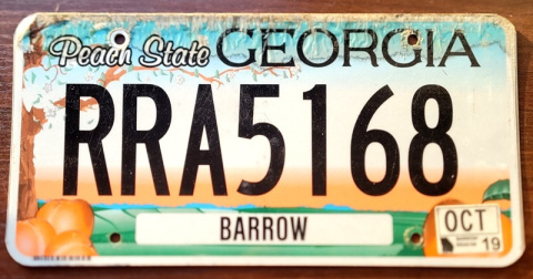 Georgia 2019
