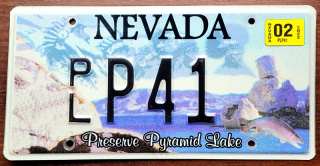 Nevada 2022