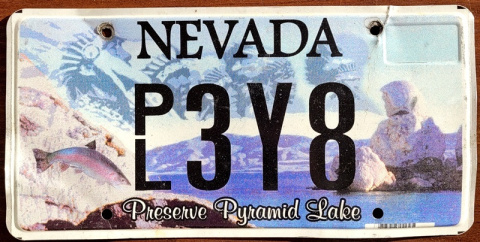 Nevada Nevada