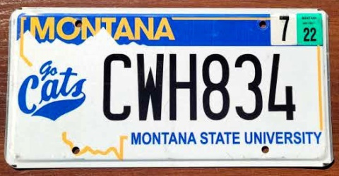 Montana 2022 Montana 2022