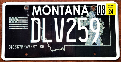 Montana 2024 Montana 2024
