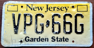 ROAD KILL - New Jersey