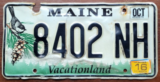 ROAD KILL - Maine 2016