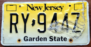 ROAD KILL - New Jersey
