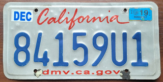 ROAD KILL - California 2019