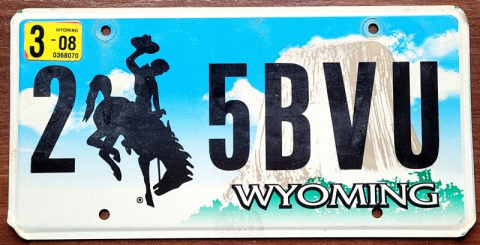 Wyoming 2008