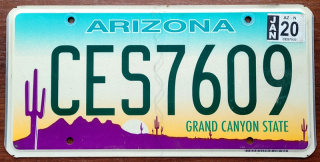 Arizona 2020