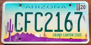 Arizona 2020