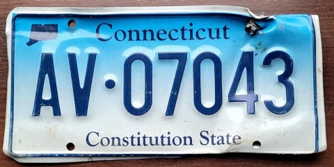 ROAD KILL - Connecticut