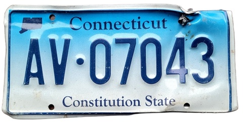 ROAD KILL - Connecticut