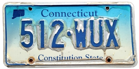ROAD KILL - Connecticut