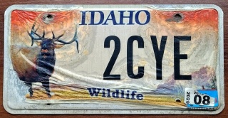 ROAD KILL - IDAHO 2020