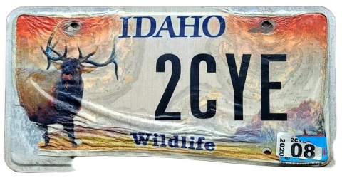 ROAD KILL - IDAHO 2020