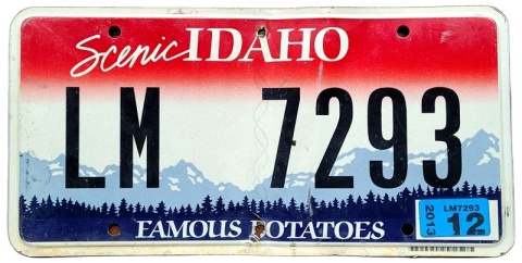 ROAD KILL - Idaho - 2013