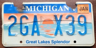 ROAD KILL - Michigan