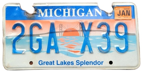 ROAD KILL - Michigan