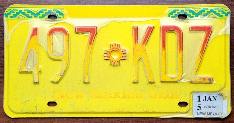 ROAD KILL - New Mexico