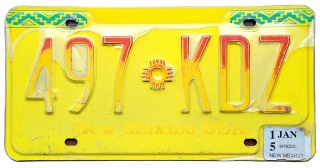 ROAD KILL - New Mexico