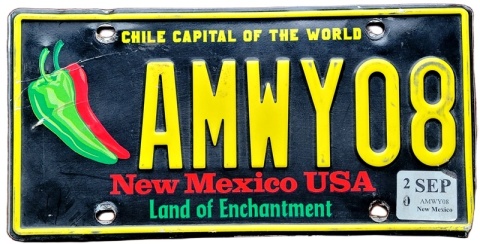 New Mexico 2020