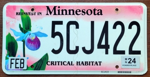 Minnesota 2024