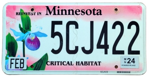 Minnesota 2024